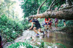 BIB: 
                            <button type="button" onclick="openModal(25454625)" class="btn btn-primary btn-sm float-right btn-popup" data-toggle="modal" data-target=".modal-high-quality">
                        <i class="fas fa-shopping-cart"></i> Add to Cart
                    </button>
                                            <button type="button" onclick="isThisMe(25454625, true)" class="btn btn-success btn-sm float-right btn-popup btn-isme hidden" data-toggle="tooltip" data-placement="bottom" title="นี่คือรูปของคุณใช่ไหม คลิกที่นี่เพื่อเอาเข้าอัลบั้ม">
                        <i class="fas fa-plus"></i> Add to album
                    </button>
                    <button type="button" onclick="isThisMe(25454625, false)" class="btn btn-warning btn-sm float-right btn-popup btn-isnotme hidden">
                        <i class="fas fa-ban"></i> Remove from album
                    </button>